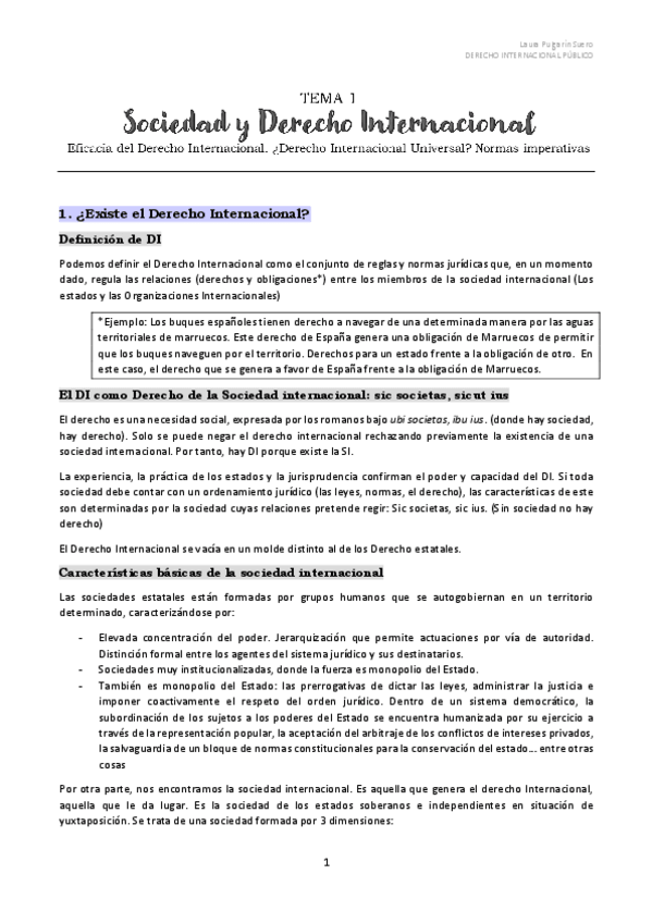 Miniatura del documento TEMA-1-Sociedad-y-Derecho-Internacional.pdf