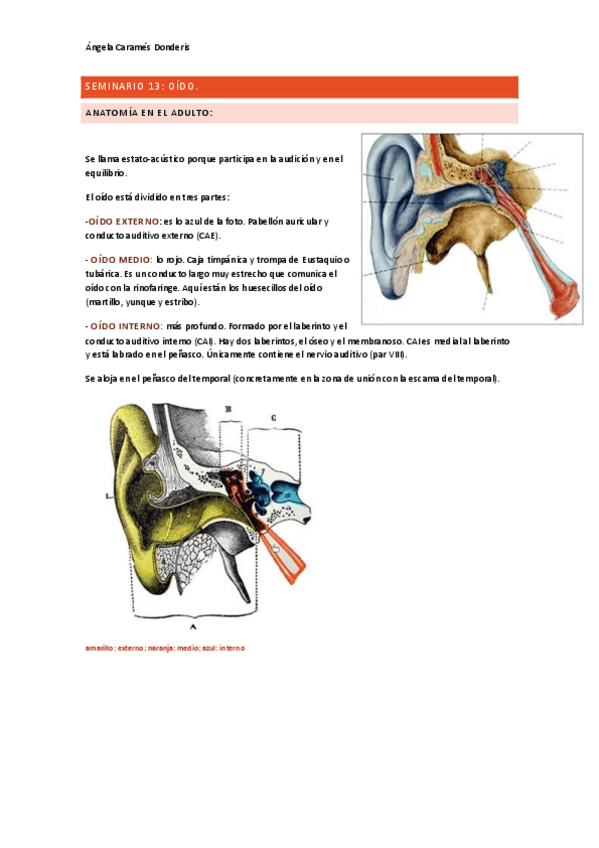 Miniatura del documento Seminario-13-oido.pdf
