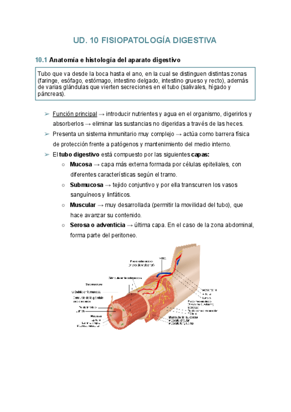 Miniatura del documento UD.pdf