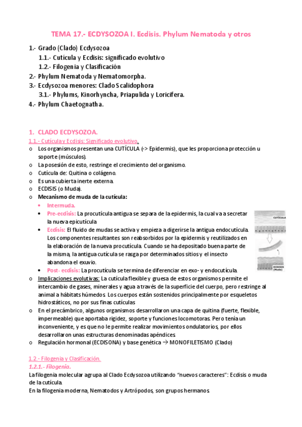 Miniatura del documento APUNTES-T.pdf