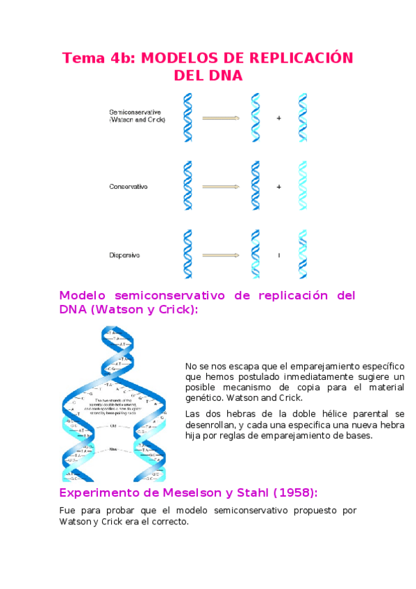 Miniatura del documento Tema-4b-Genetica.docx