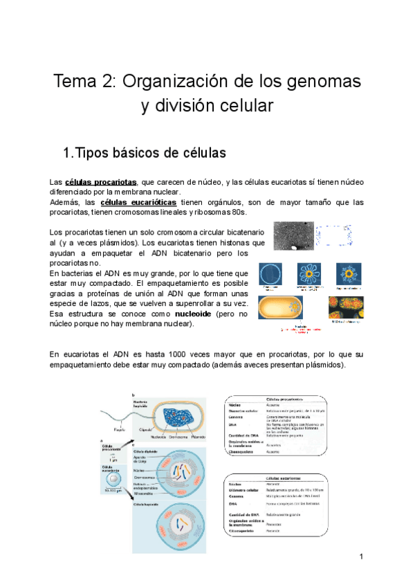 Miniatura del documento Tema-2-Organizacion-de-los-genomas-y-division-celular.pdf