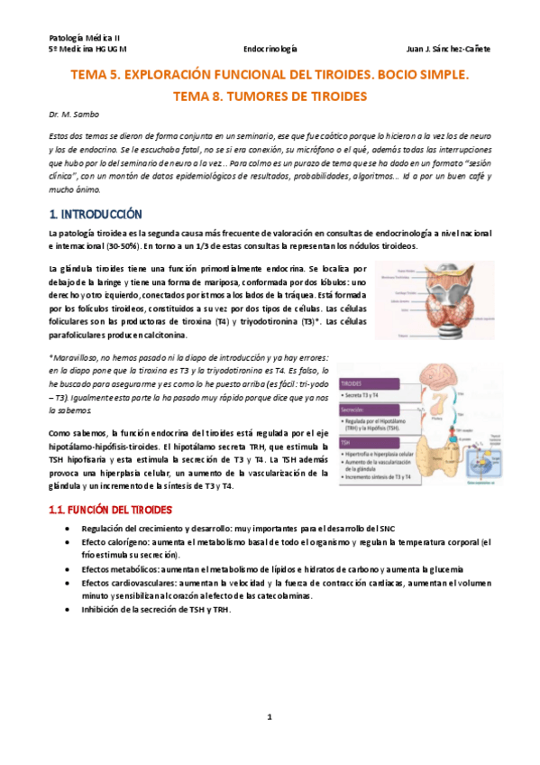Miniatura del documento TEMA-5-y-8-EXPLORACION-FUNCIONAL-DEL-TIROIDES-NODULO-TIROIDEO-Y-TUMORES-TIROIDEOS.pdf