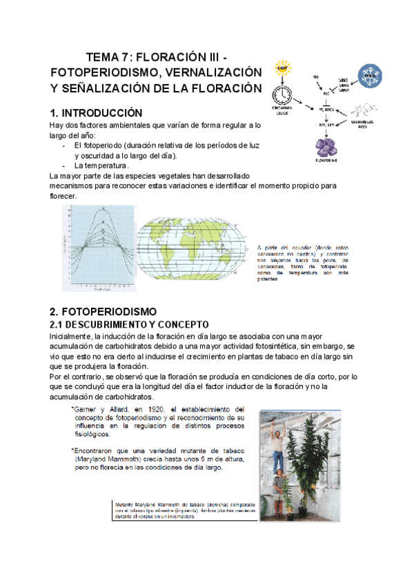 Miniatura del documento TEMA-7-FLORACION-III-FOTOPERIODISMO-VERNALIZACION-Y-SENALIZACION-DE-LA-FLORACION.pdf