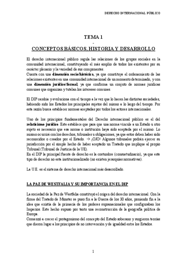 Miniatura del documento DERECHO-INTERNACIONAL-PUBLICO.pdf