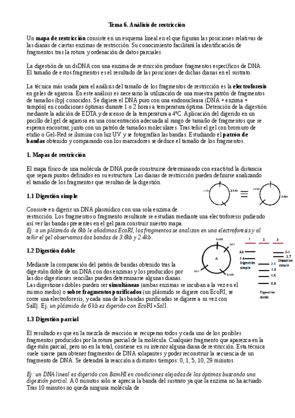 Miniatura del documento Tema 6. Análisis de restricción.pdf