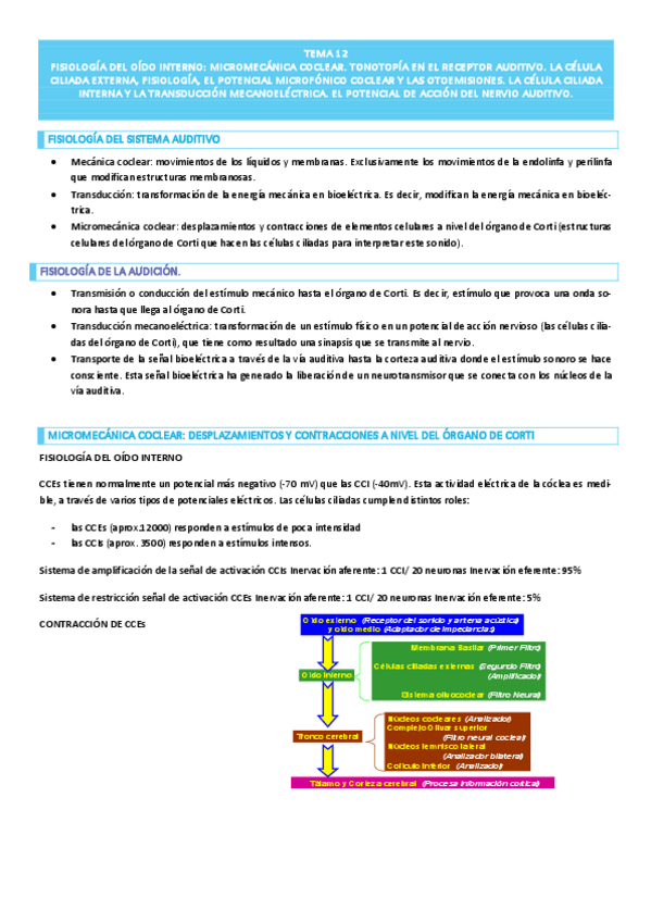 Miniatura del documento TEMA-12-AUDICION.pdf