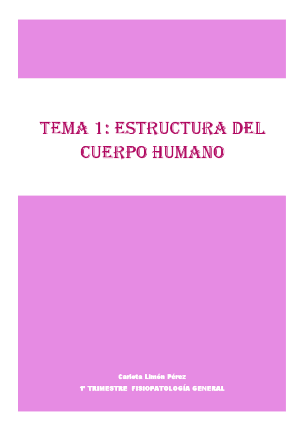 Miniatura del documento Tema-1-Estructura-del-cuerpo-humano.pdf