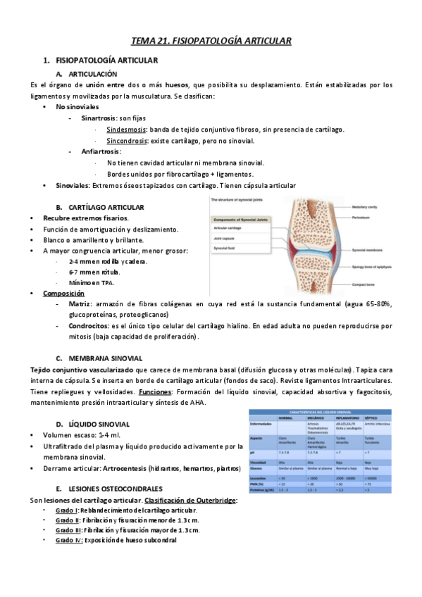 Miniatura del documento T21.pdf