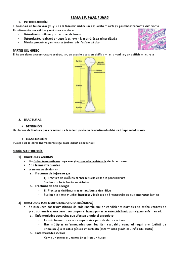 Miniatura del documento T19.pdf