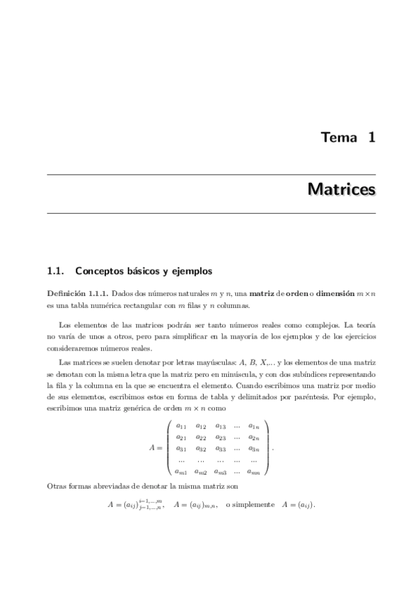 Miniatura del documento TEMA-1.pdf