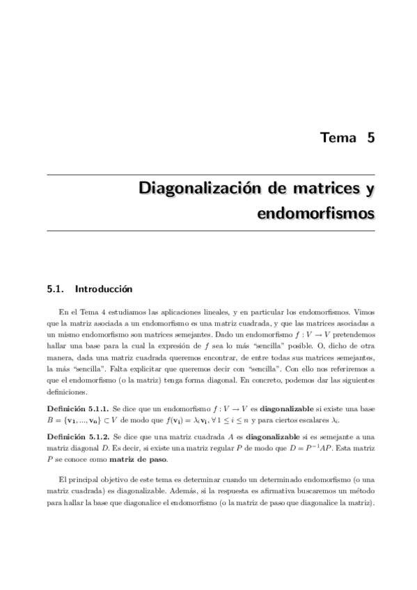 Miniatura del documento TEMA-5.pdf