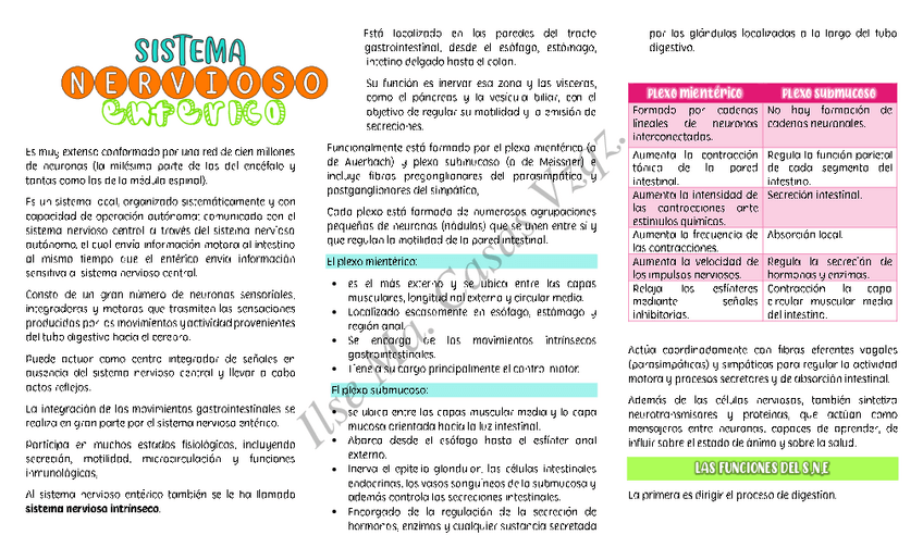 Miniatura del documento Sistema-nervioso-enterico-3.pdf