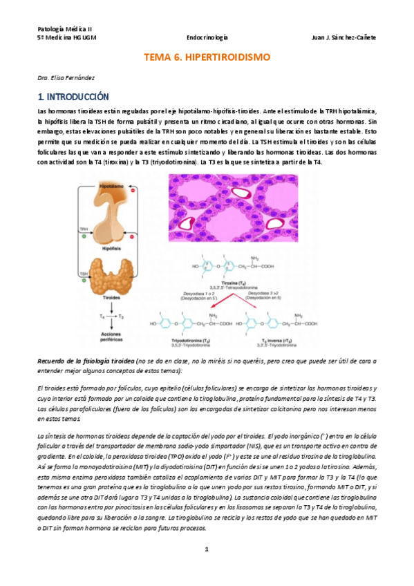 Miniatura del documento TEMA-6-HIPERTIROIDISMO.pdf