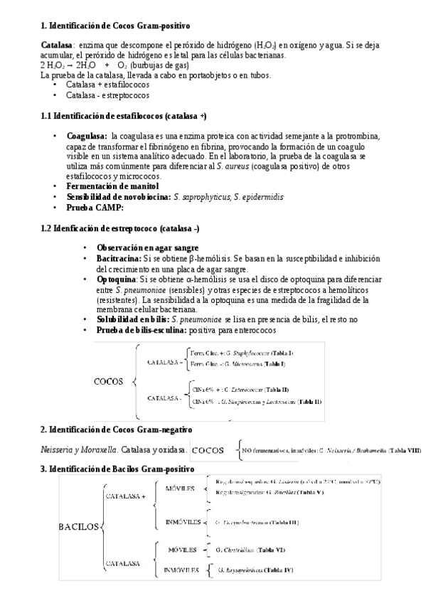 Miniatura del documento Pruebas de identificación.pdf