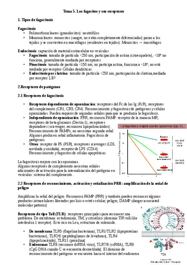 Miniatura del documento 5. Fagocitos.pdf