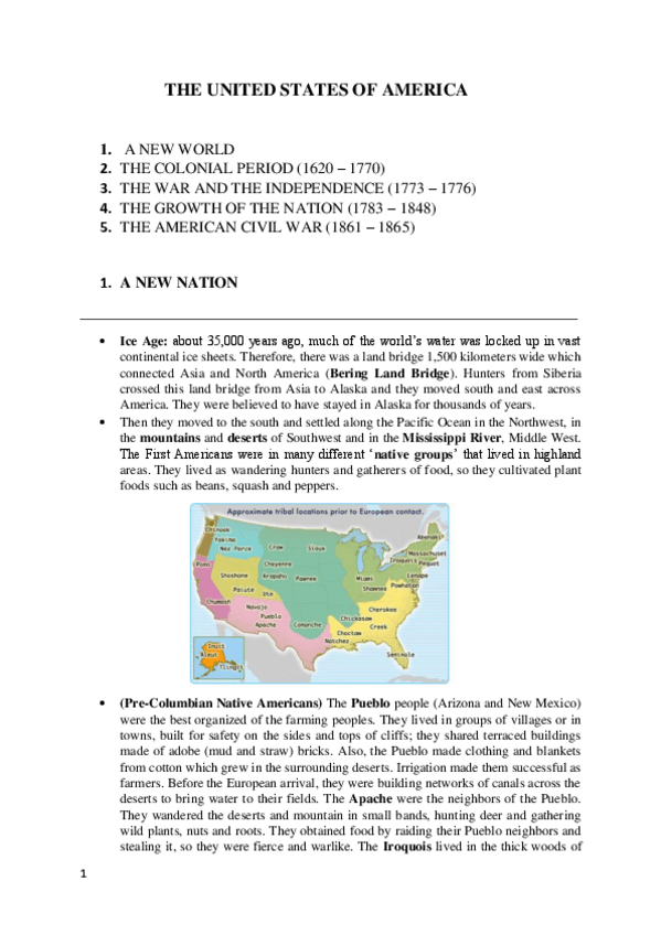Miniatura del documento THE-UNITED-STATES-OF-AMERICA.pdf