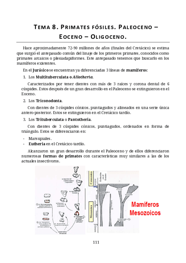 Miniatura del documento t8.pdf