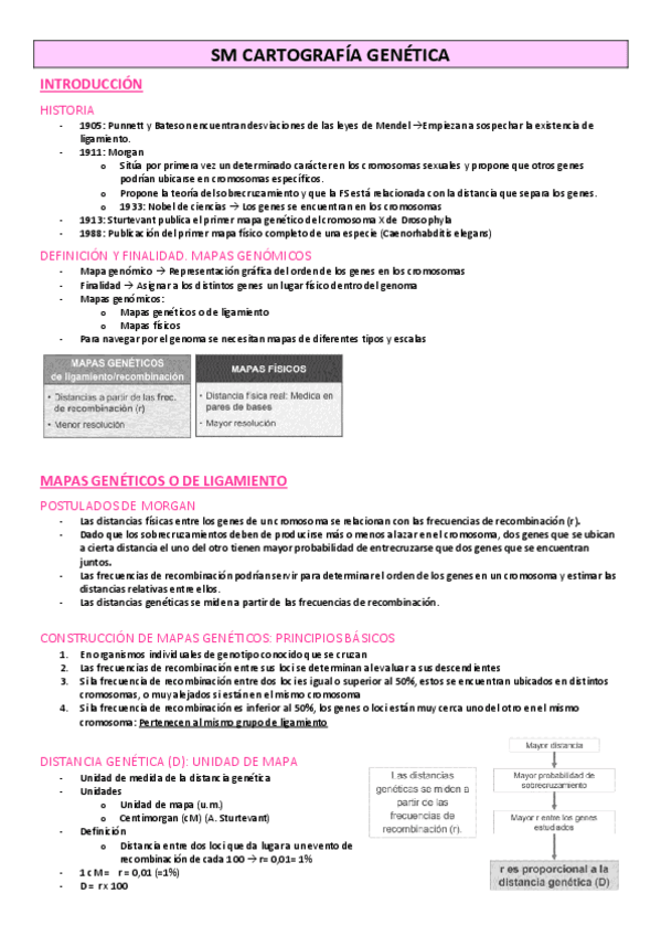 Miniatura del documento CARTOGRAFIA-Y-CRISPR-SEMINARIOS.pdf