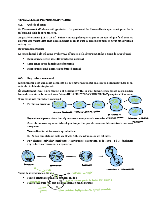 Miniatura del documento TEMA-6.pdf