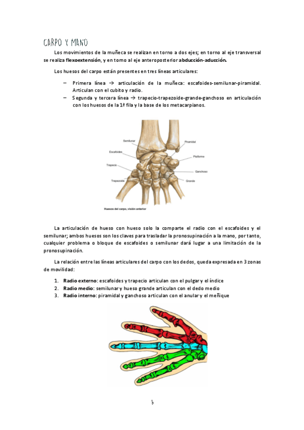Miniatura del documento Unidad-II-Carpo-y-Mano.pdf