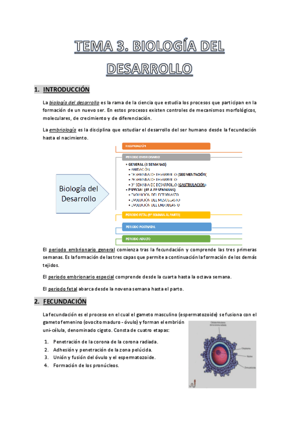 Miniatura del documento Tema-3.pdf