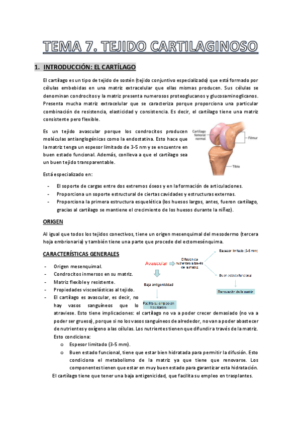 Miniatura del documento Tema-7.pdf