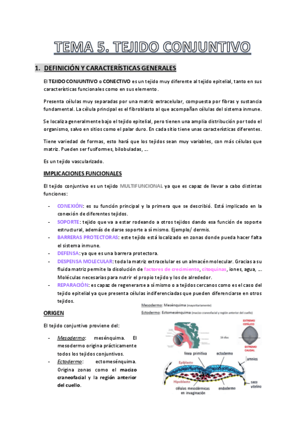 Miniatura del documento Tema-5.pdf