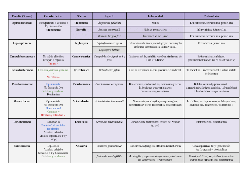 Miniatura del documento Bacterias-Gram-.pdf