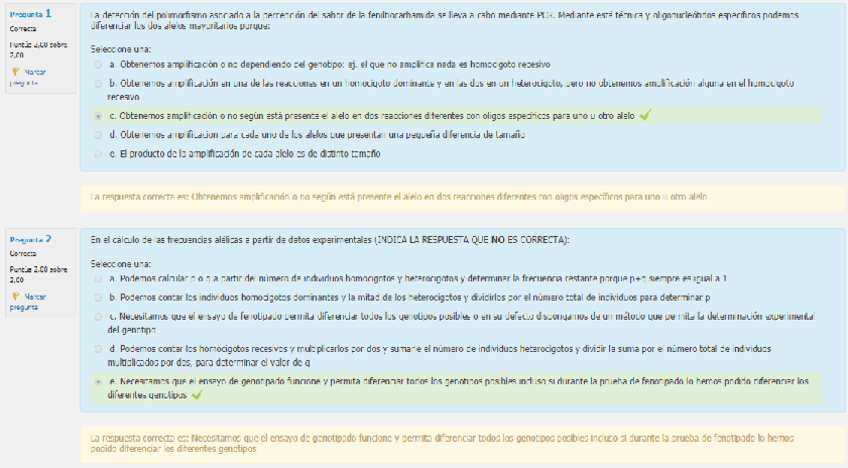 Miniatura del documento Cuestionario-P2.pdf