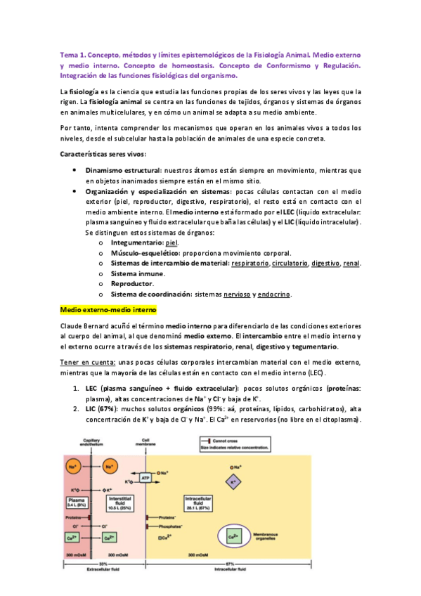 Miniatura del documento 1o-CUATRIMESTRE.pdf