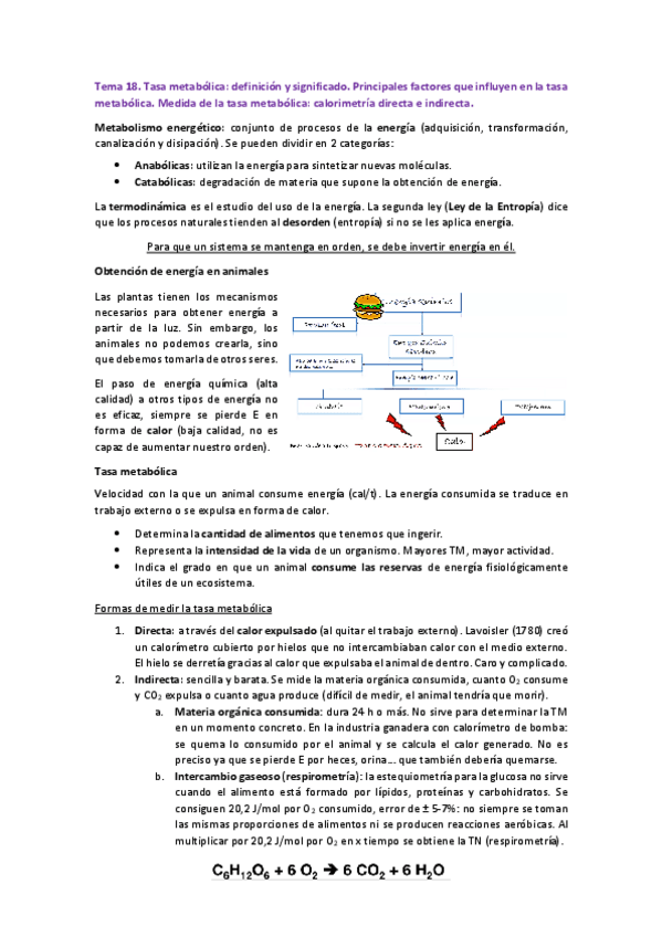 Miniatura del documento 2o-CUATRIMESTRE.pdf