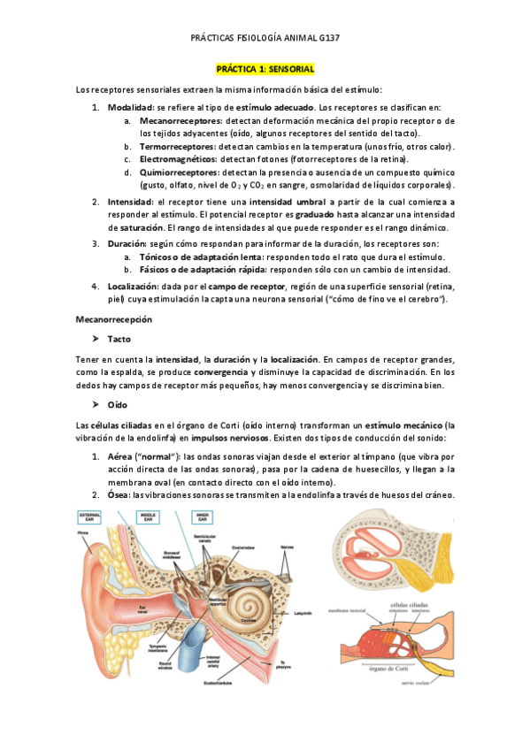 Miniatura del documento CUADERNO-PRACTICAS-FA.pdf