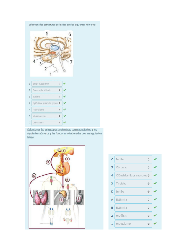 Miniatura del documento Examen-bloque-II-Psicobiologia-II.pdf