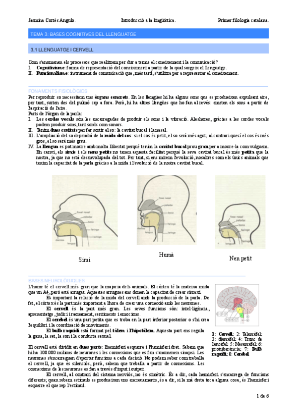 Miniatura del documento Tema-3-Bases-cognitives-del-llenguatge.pdf