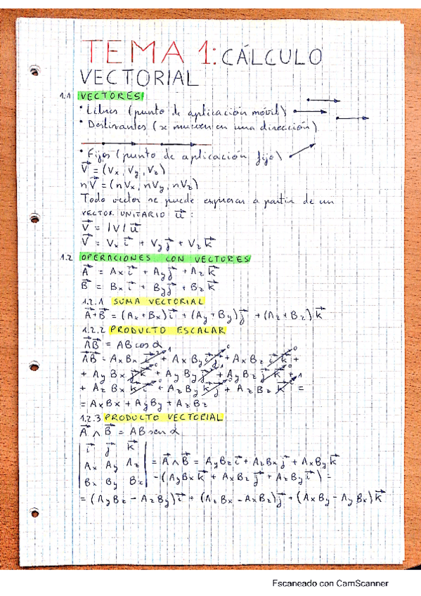 Miniatura del documento Resumen-FIS-1.pdf