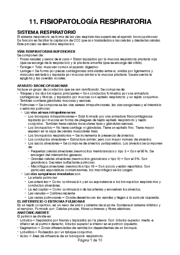 Miniatura del documento 11.pdf