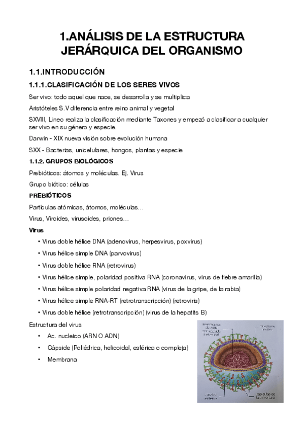 Miniatura del documento ANALISIS-DE-LA-ESTRUCTURA-JERARQUICA-DEL-ORGANISMO-1.pdf