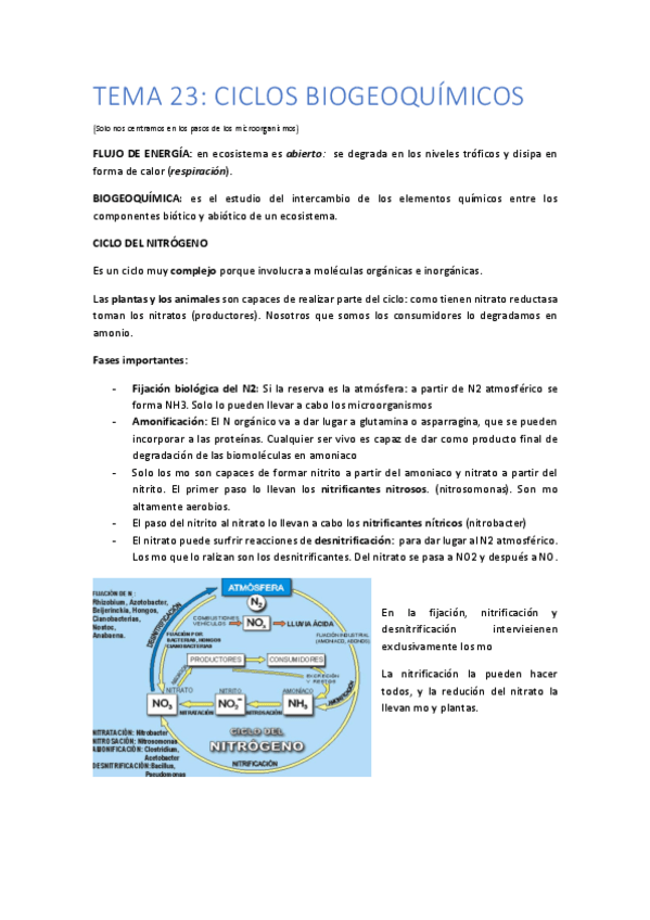 Miniatura del documento TEMA-23-copia.pdf