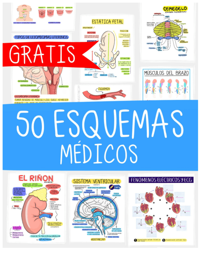 Miniatura del documento 50Esquemasmedicos.pdf