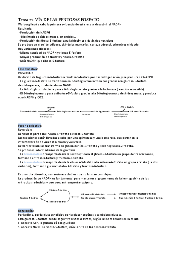 Miniatura del documento Tema-21-via-pentosas-fosfato.pdf