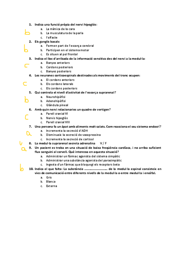 Miniatura del documento EXEMPLES-PREGUNTES-PRE-EXAMEN-2a-PART.pdf