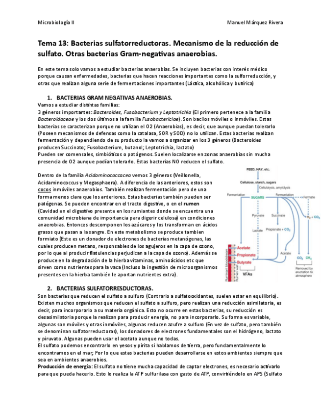 Miniatura del documento Tema 13.pdf