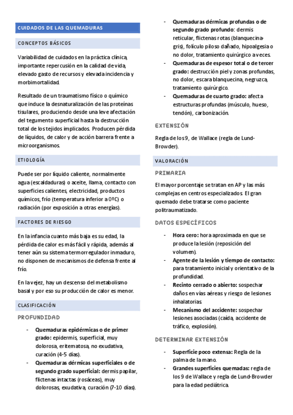 Miniatura del documento Quemaduras.pdf