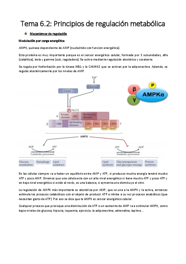 Miniatura del documento Tema 6.2 (2º parcial)