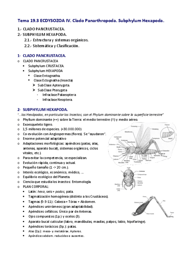 Miniatura del documento Tema-19.pdf