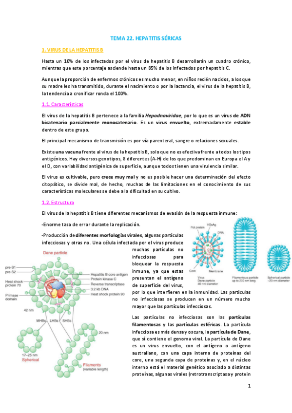 Miniatura del documento TEMA-22.pdf