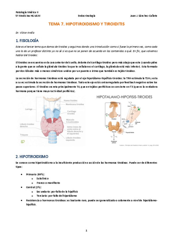 Miniatura del documento TEMA-7-HIPOTIROIDISMO-Y-TIROIDITIS.pdf