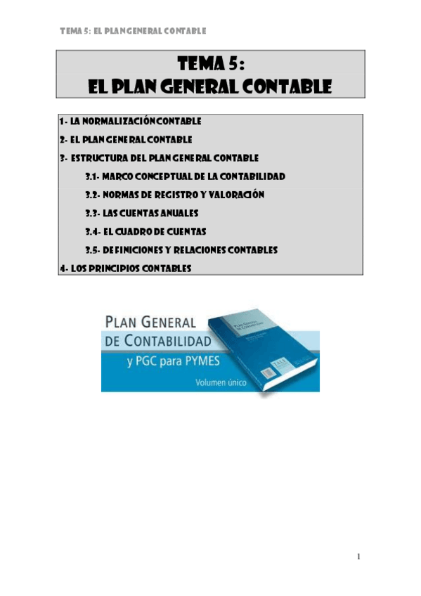 Miniatura del documento tema-5-el-plan-general-contable.pdf