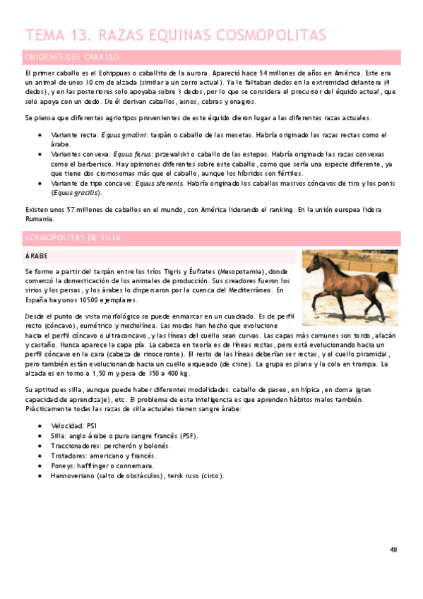 Miniatura del documento Tema-13.pdf